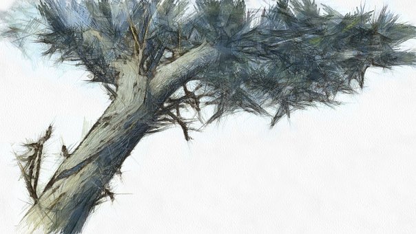 Free Painting Nature illustration and picture