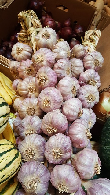 Free Garlic Organic photo and picture