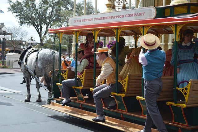 Free Disney World photo and picture