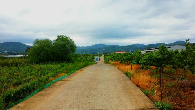 Ulice, Oblačno, Krajina, Hora, Rostlin