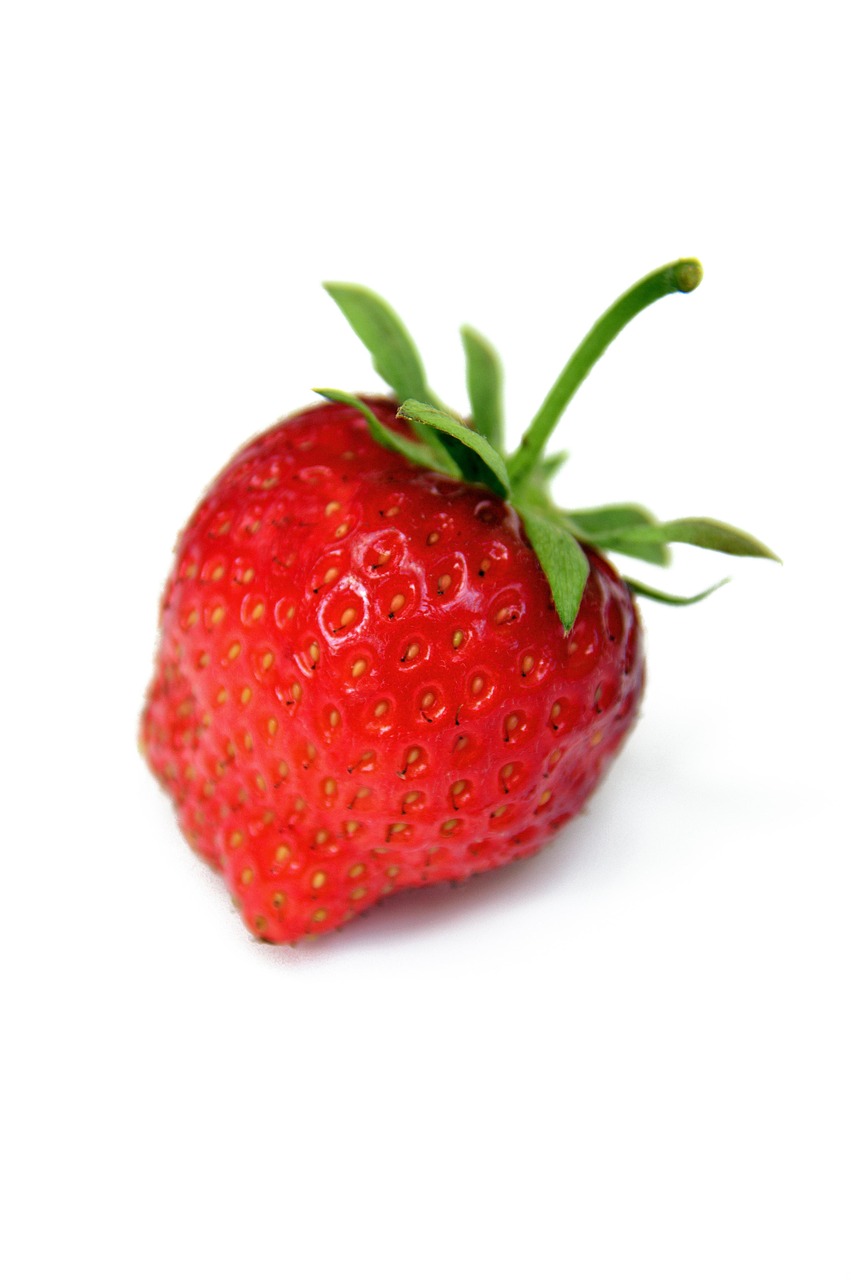 Rot Erdbeere Reif Reife - Kostenloses Foto auf Pixabay - Pixabay Rot Erdbeere Reif Reife - Kostenloses Foto auf Pixabay - Pixabay