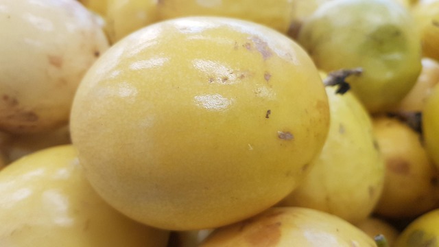 Free Fruit Passion Fruit photo and picture