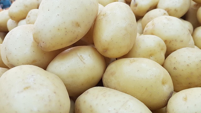 Free Potatoes Vegetables photo and picture
