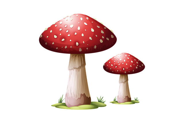 Free toadstool mushroom fungus illustration