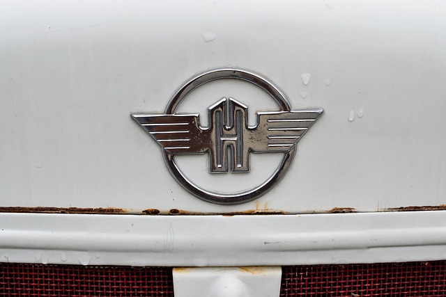 Free Logo Emblem photo and picture