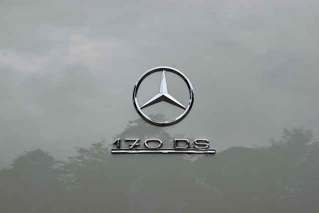 Free Logo Emblem photo and picture