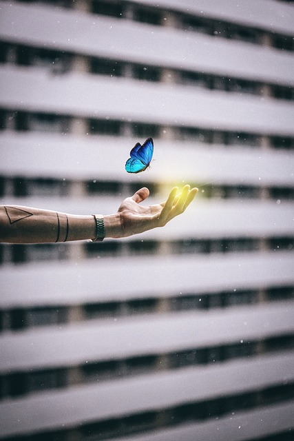 Free Butterfly Hand photo and picture