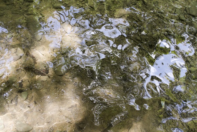 Free Water Pond photo and picture
