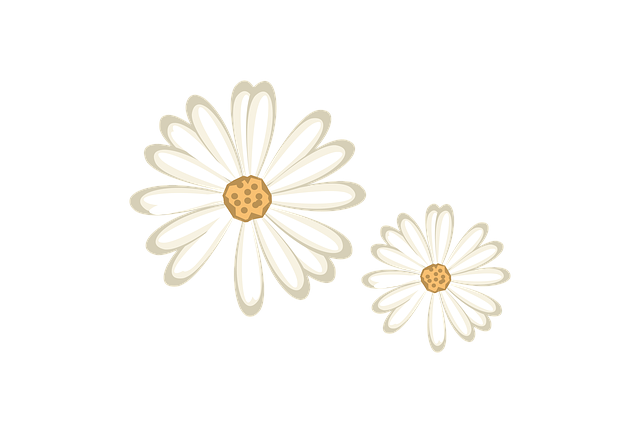 Free nature flower white plant illustration