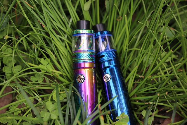 Free Vape Electronic Cigarette photo and picture