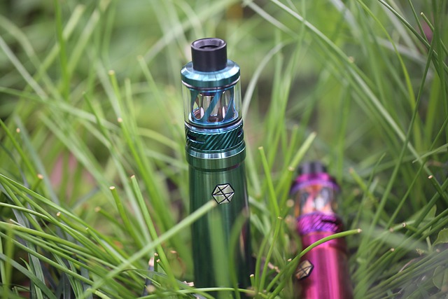 Free Vape Electronic Cigarette photo and picture