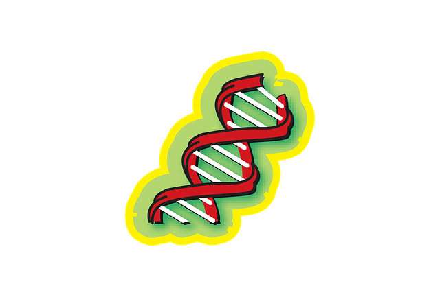 Free chromosome medical science illustration