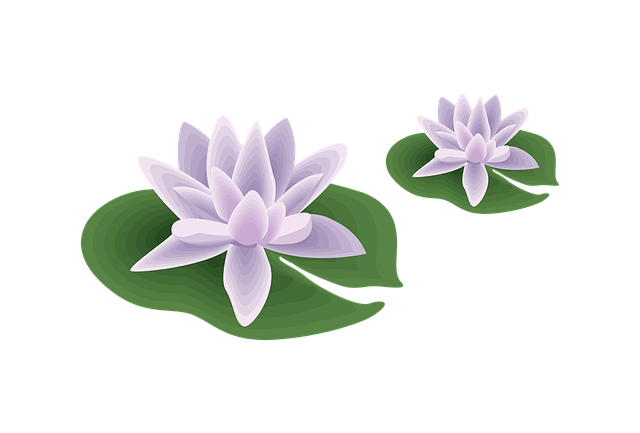 Free flower pool water illustration