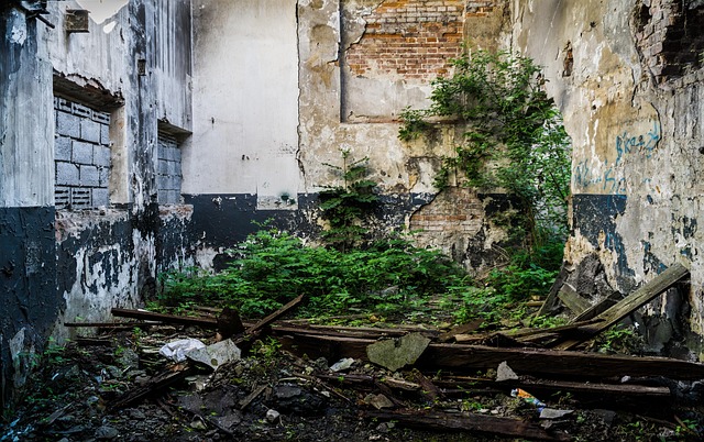 Free Mill An Abandoned Place photo and picture