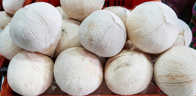 Free White Coconuts photo and picture