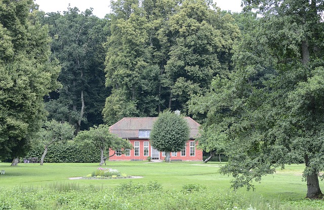 Free House Building photo and picture