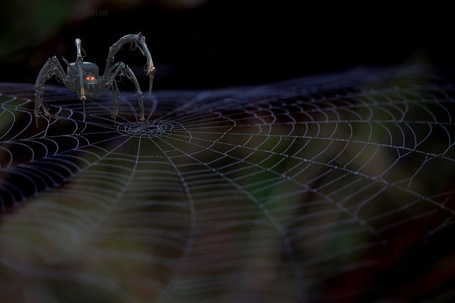 Free mechanical spider spider web fantasy illustration