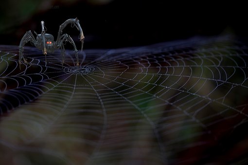 Free Mechanical Spider Spider Web illustration and picture
