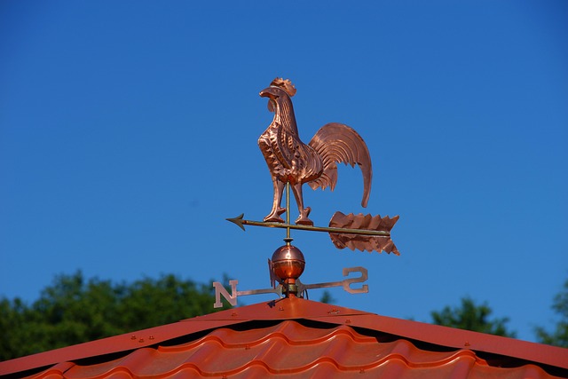 Free Roof House photo and picture