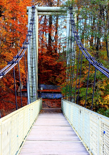 Free Autumn Bridge photo and picture
