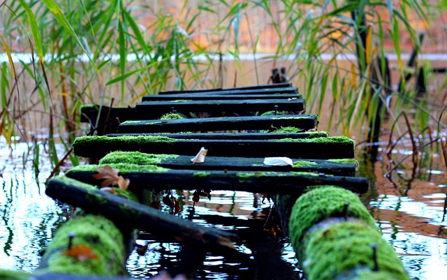 Free Bridge Down photo and picture