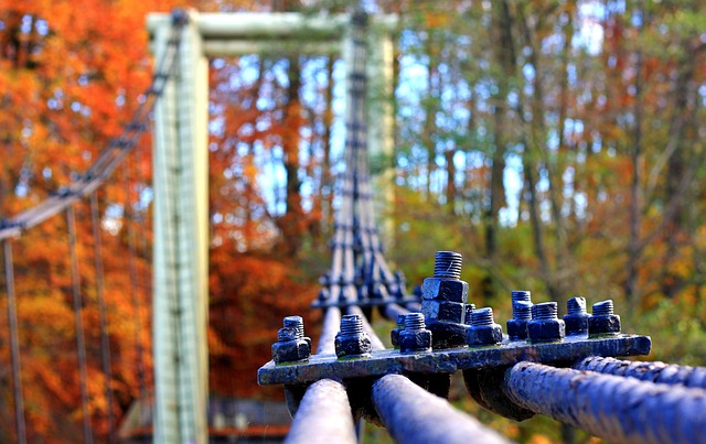 Free Cables Steel Bridge photo and picture