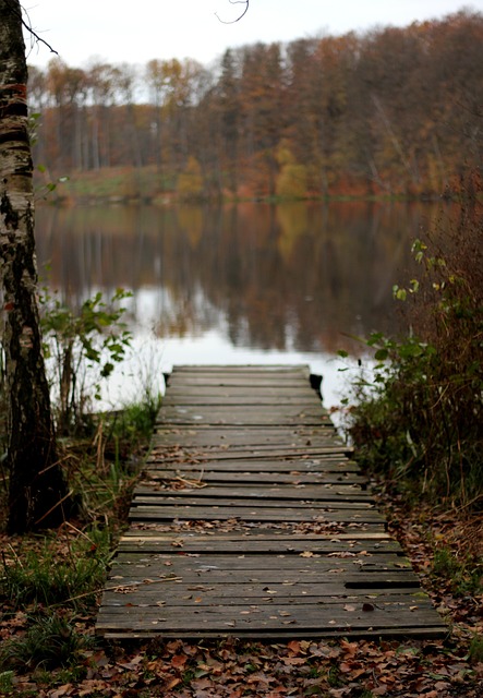 Free Bridge Wooden photo and picture
