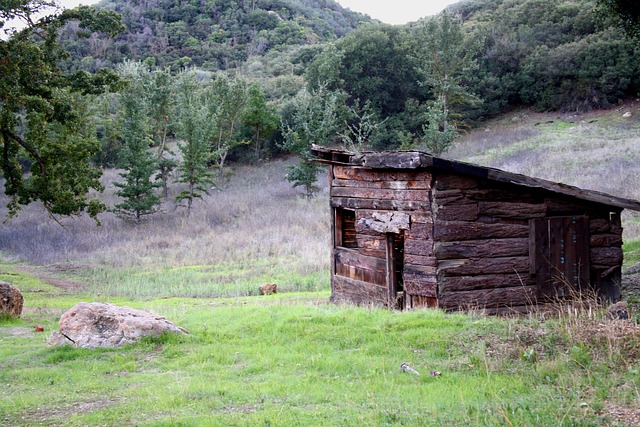 Cabina, Rural, De Madera, Restos