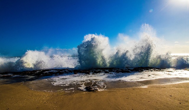 Free Beach Waves photo and picture