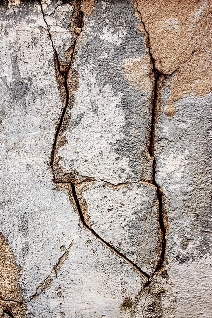 Free Texture Stone photo and picture