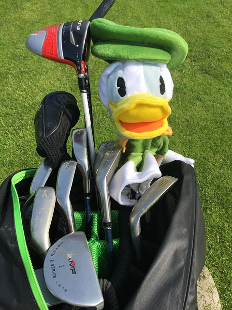 Free Golf Bat photo and picture
