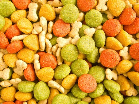 Alimentaire, Chien, Des Animaux