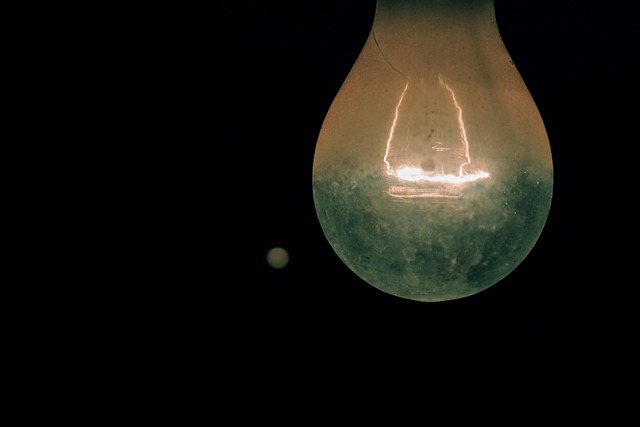 Free Bulbs Bulb photo and picture