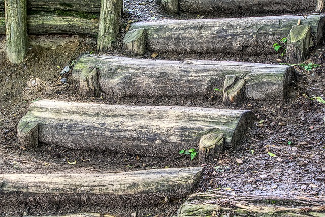 Free Stairs Wooden Stairs photo and picture