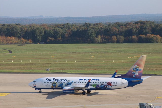 Free Plane Scoff photo and picture