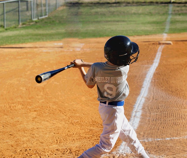 Free Grandson Baseball photo and picture
