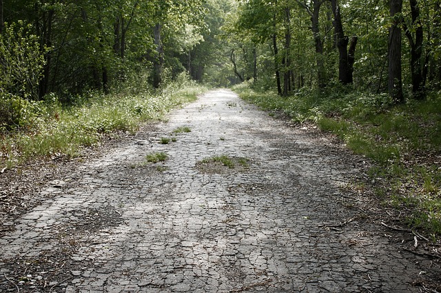 Verlassene Straße, Straße, Verlassen
