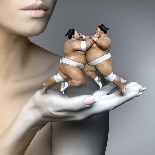 Cd Cover, Frau, Fantasie, Sumo Ringer
