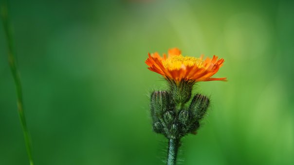 배우자 사업 소득 파산 면책 신고 절차4