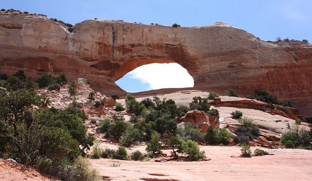Free Wilson Arch Sandstone photo and picture