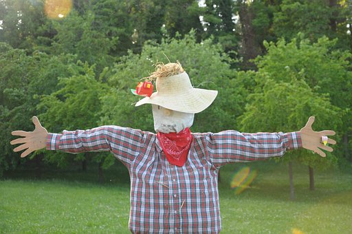 Free Scarecrow Green photo and picture