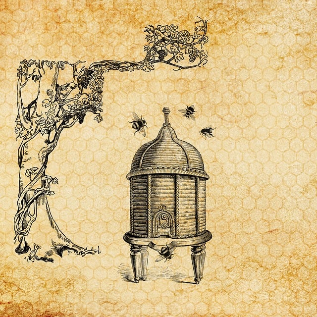 Free beehive bee vintage illustration