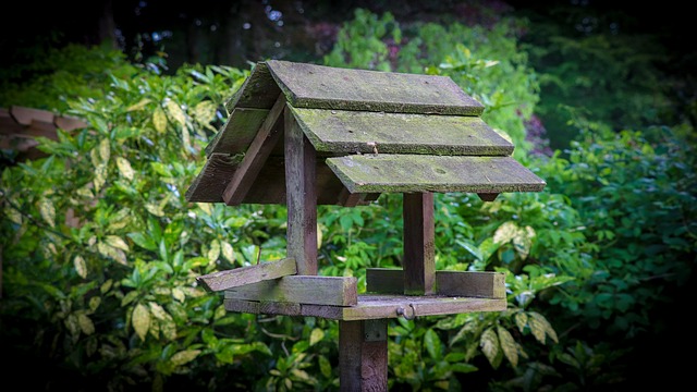 Free Table Garden photo and picture