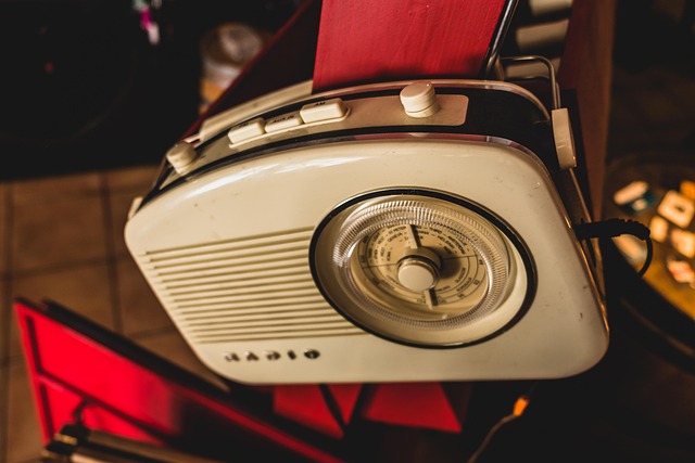 Free Radio World Receiver photo and picture