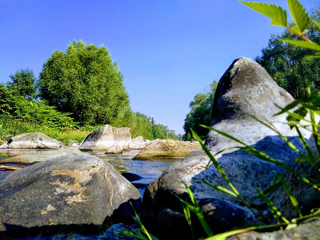 Free River Grass photo and picture