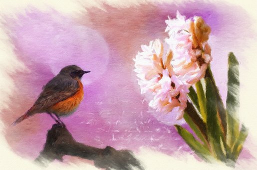 Zambilă, Floare, Plantă, Comune Redstart