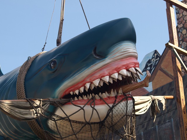 Free Shark Fair photo and picture