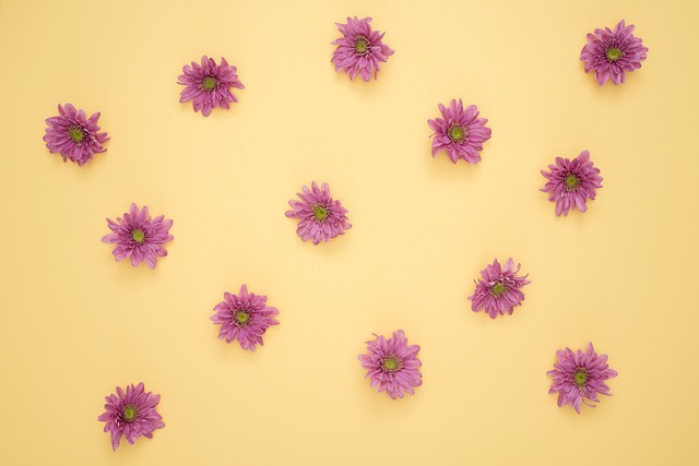 Blumen, Schöne Tapete