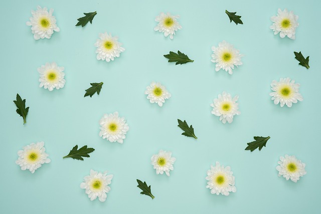 Blumen, Blumen Hintergrund, Gelb