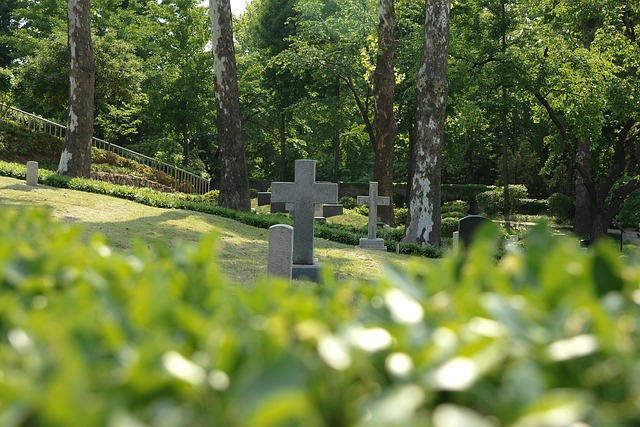 Free Korea Yanghwajin photo and picture